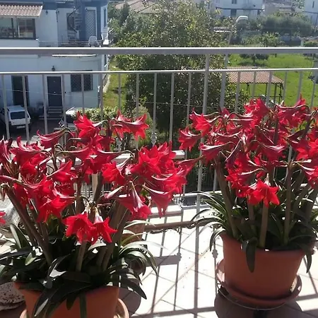 Guest house O Dependance - Soluzioni Abitative A Pochi Passi Dal Mare Formia