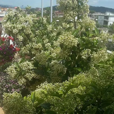 O Dependance - Soluzioni Abitative A Pochi Passi Dal Mare Guest house Formia